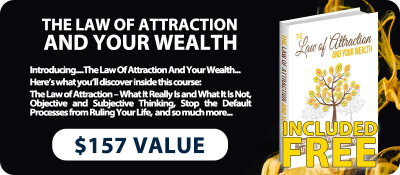 The Art Of Finishing PLR